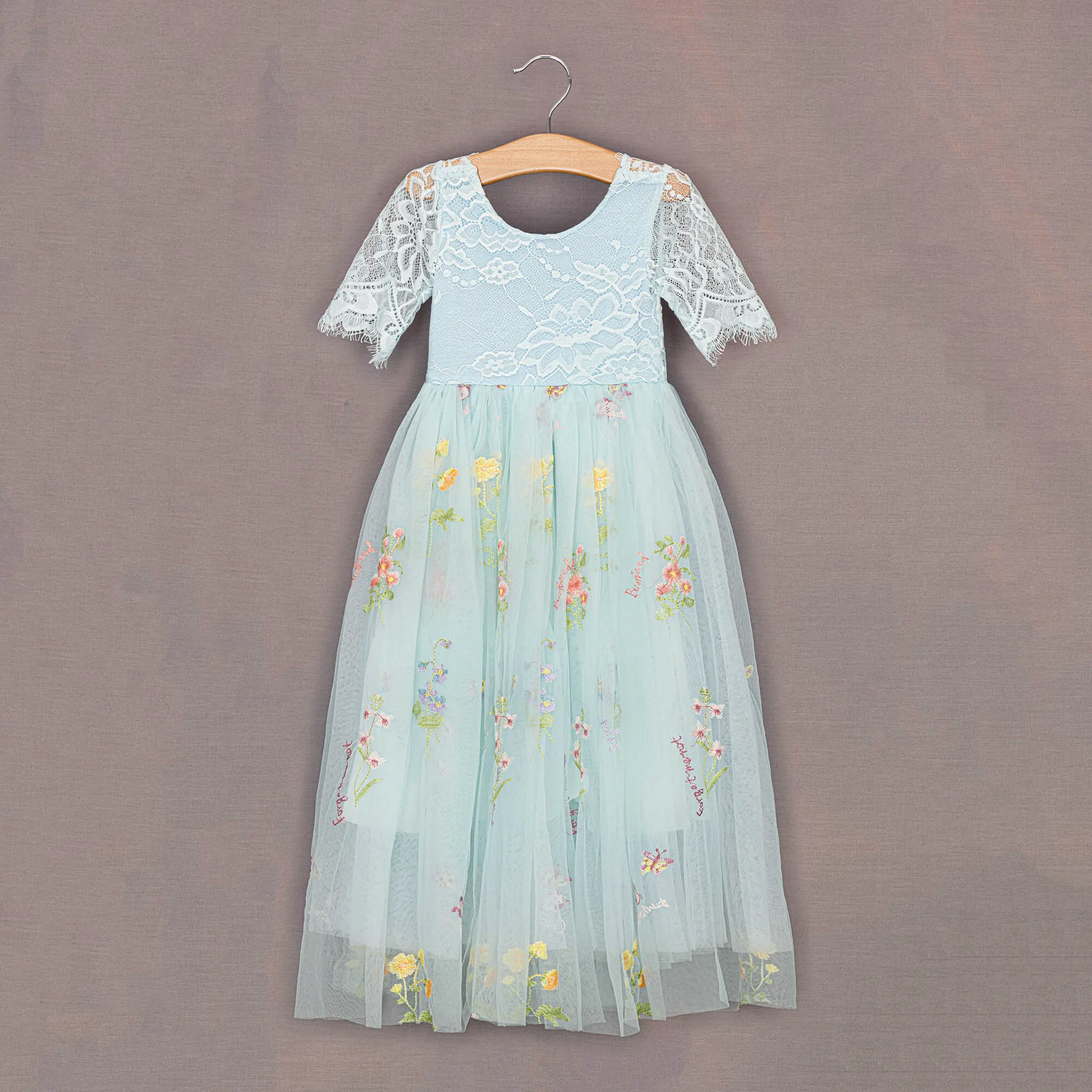 Enchanted Dress - Embroidered Powder Blue Lace