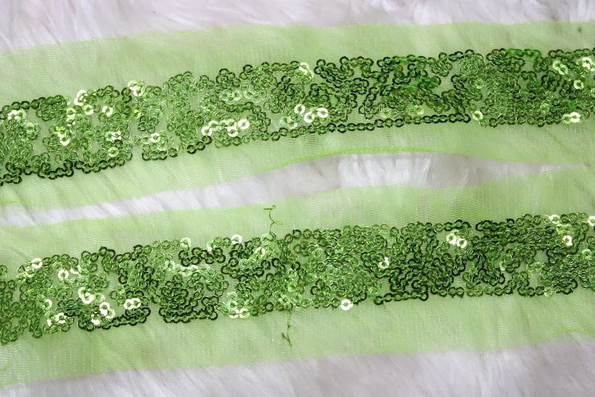 Green Sequins Work Embroidered Border